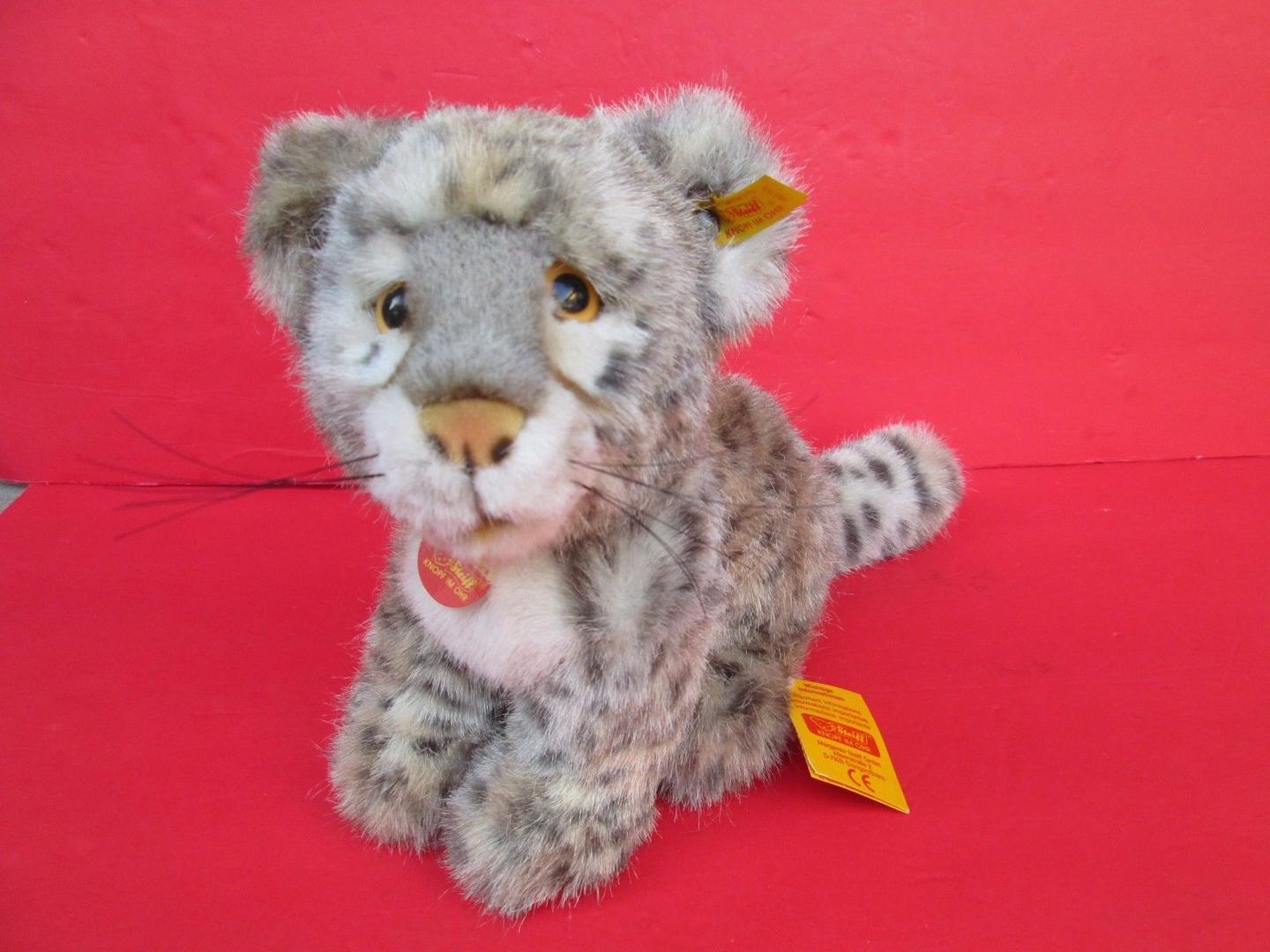 Snobby - Wolfe Nursery